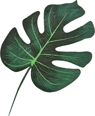 leaf