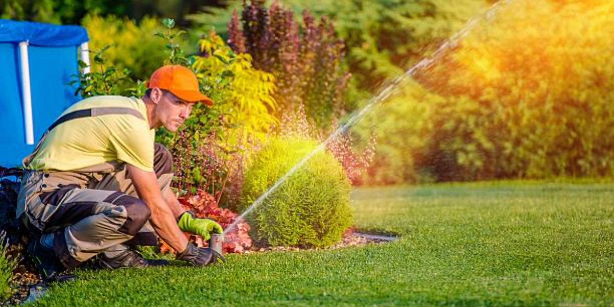 Water saving tips for gardening