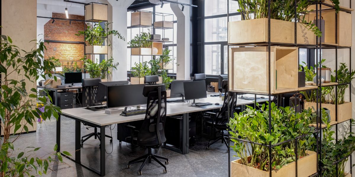 interior landscaping to modernize your workspace